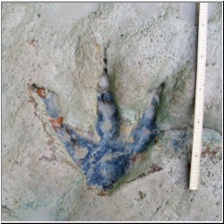 100_0964 (2009-28-07)m.JPG